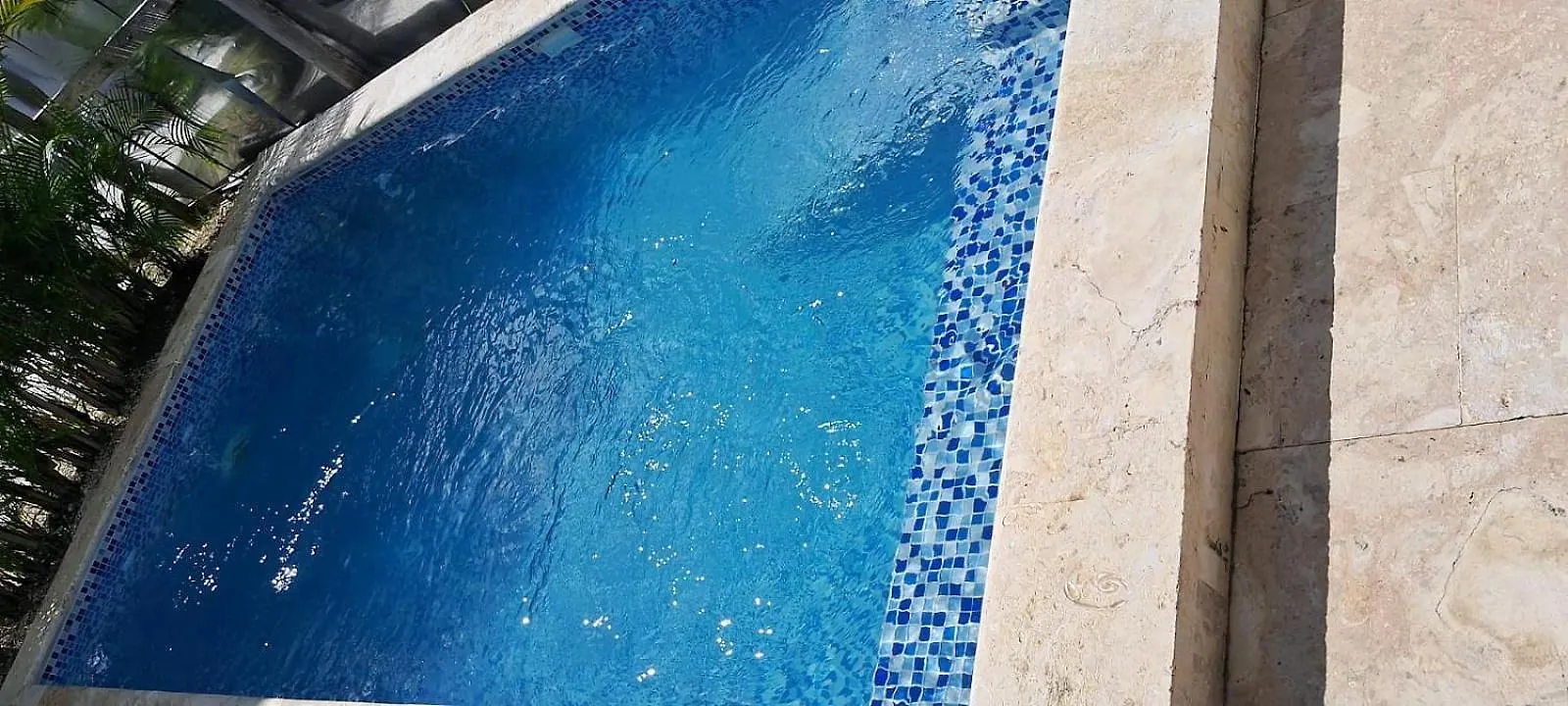 Villa Pool Action Vista Cana Punta Cana Dominik Cumhuriyeti